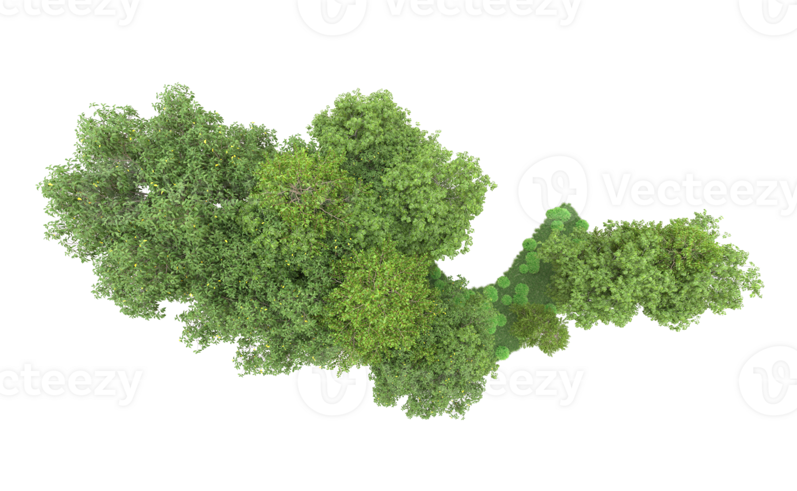 Green forest isolated on background. 3d rendering - illustration png