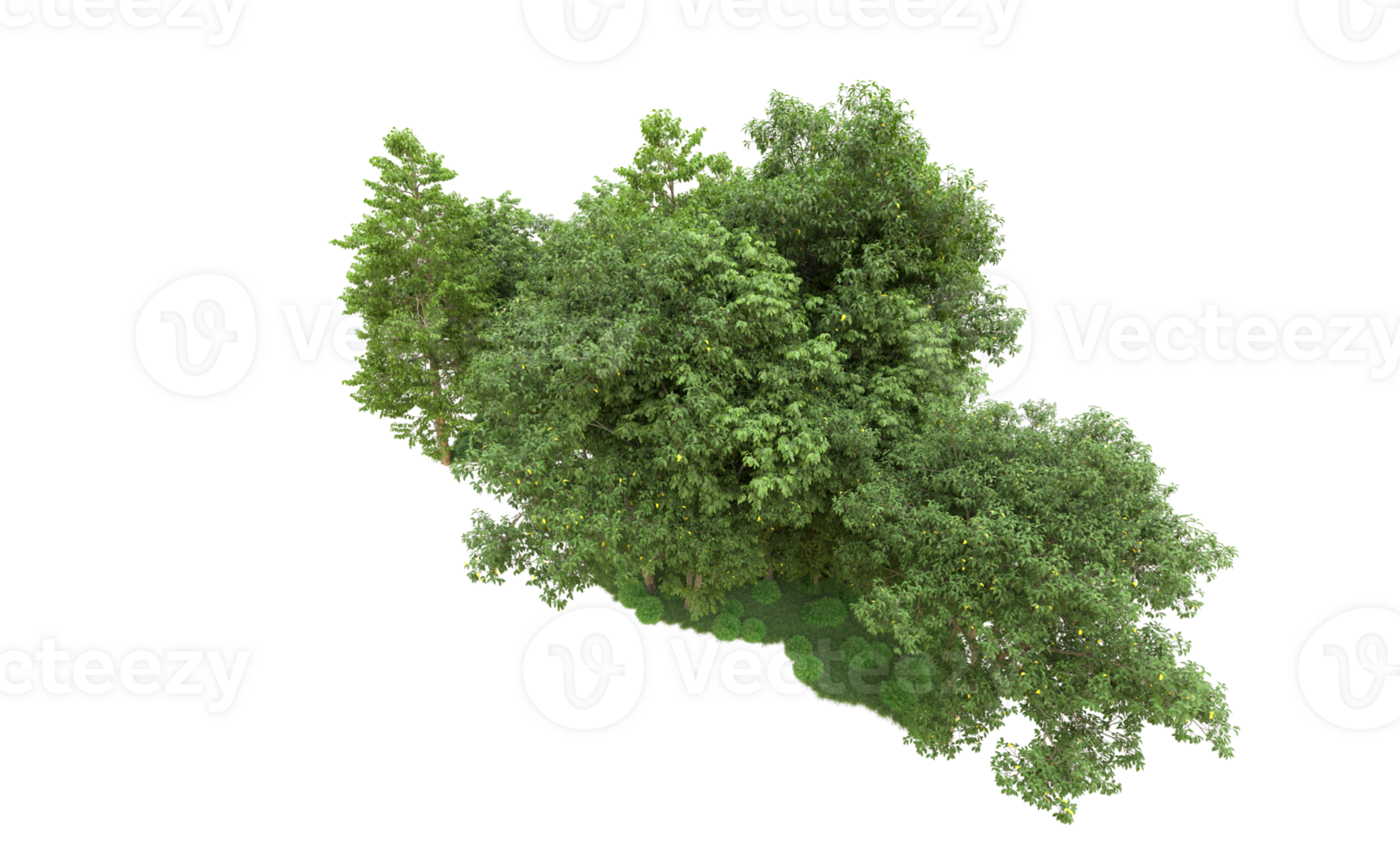 Green forest isolated on background. 3d rendering - illustration png