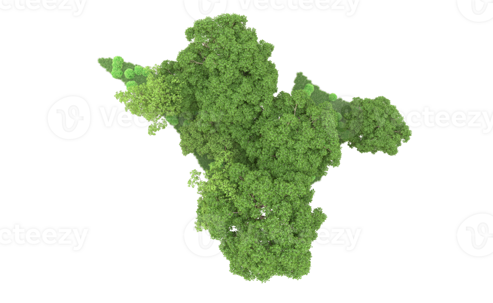 Green forest isolated on background. 3d rendering - illustration png