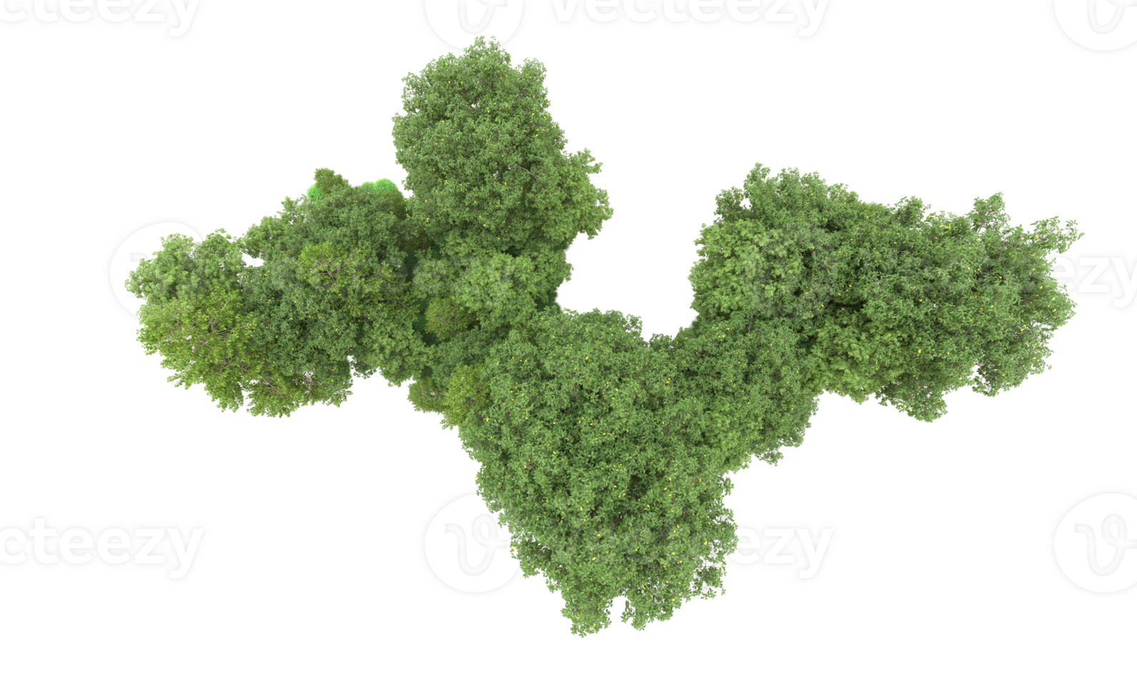 Green forest isolated on background. 3d rendering - illustration png
