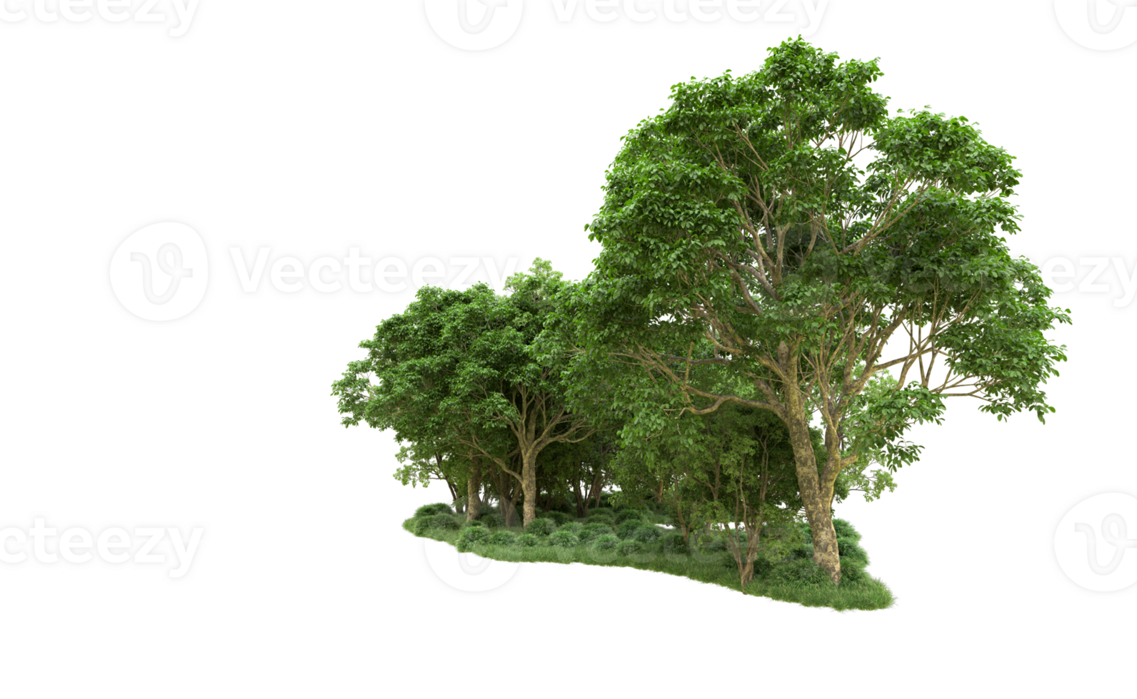 Green forest isolated on background. 3d rendering - illustration png
