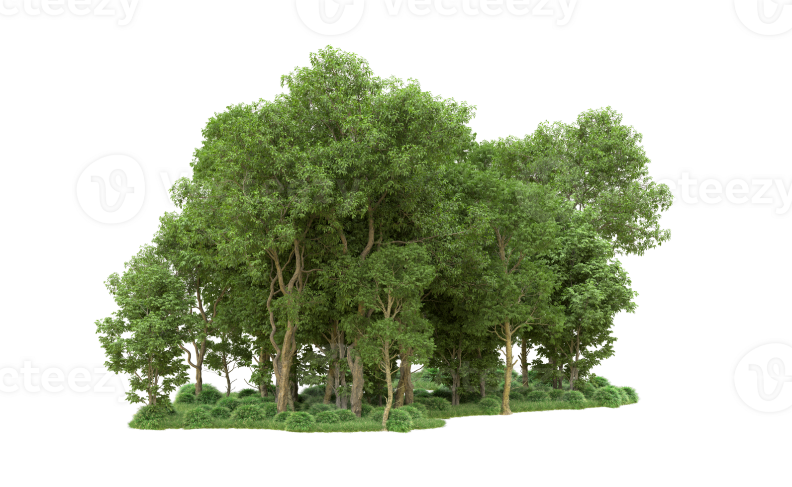 Green forest isolated on background. 3d rendering - illustration png