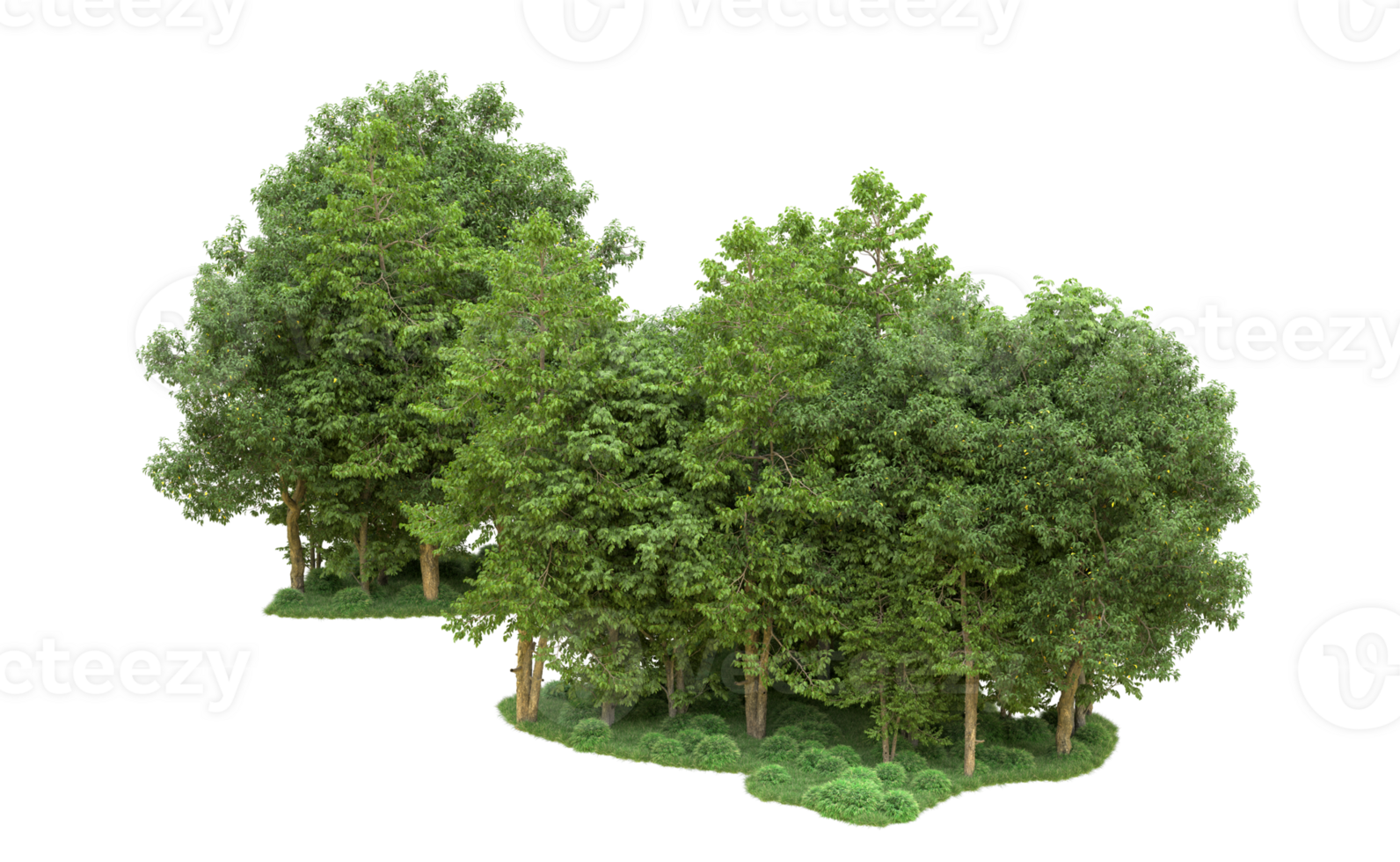 Green forest isolated on background. 3d rendering - illustration png