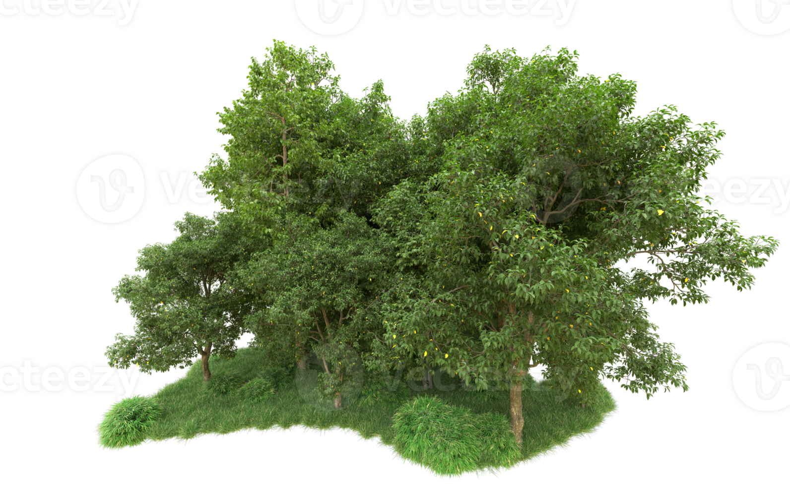 Green forest isolated on background. 3d rendering - illustration png