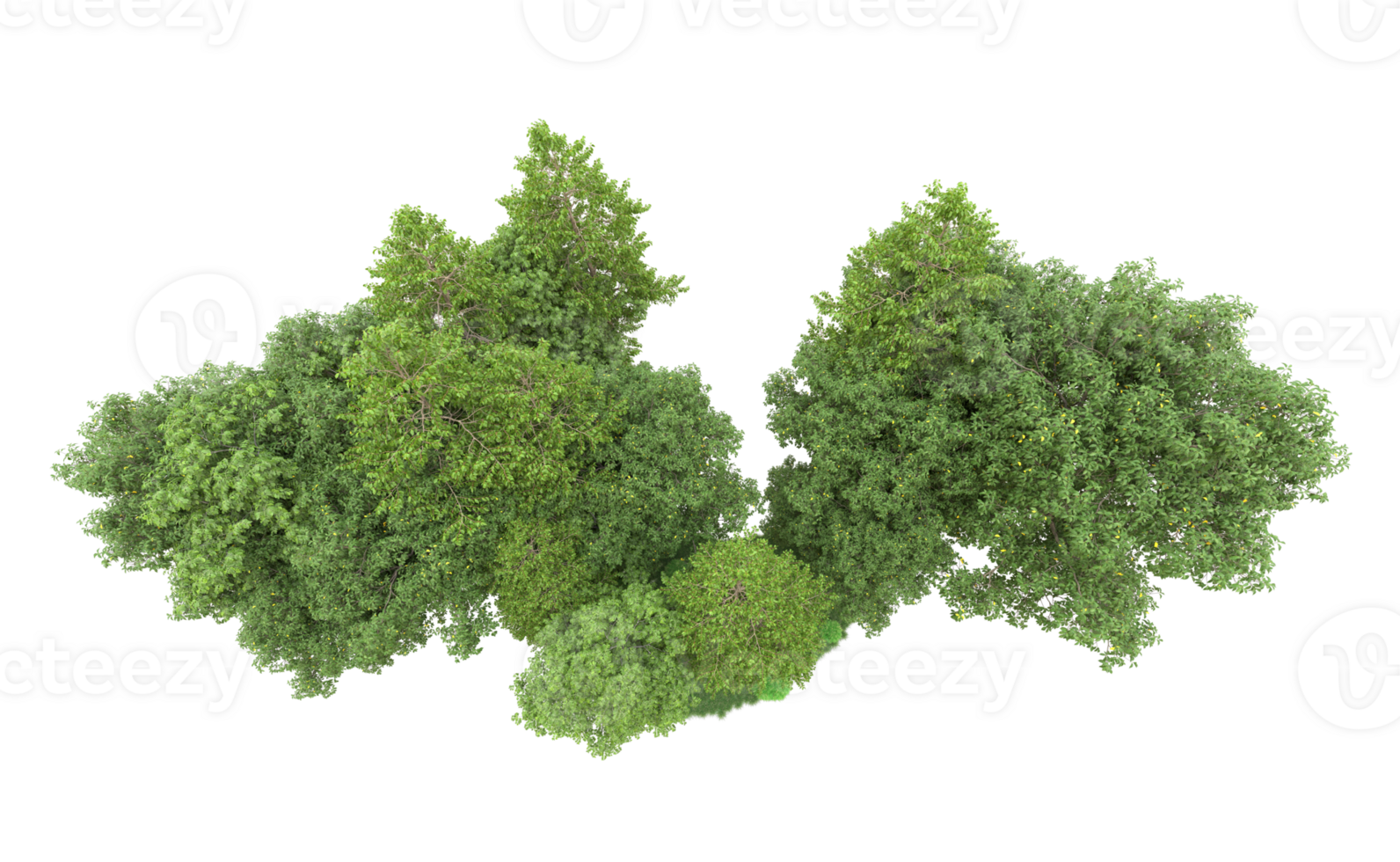 Green forest isolated on background. 3d rendering - illustration png