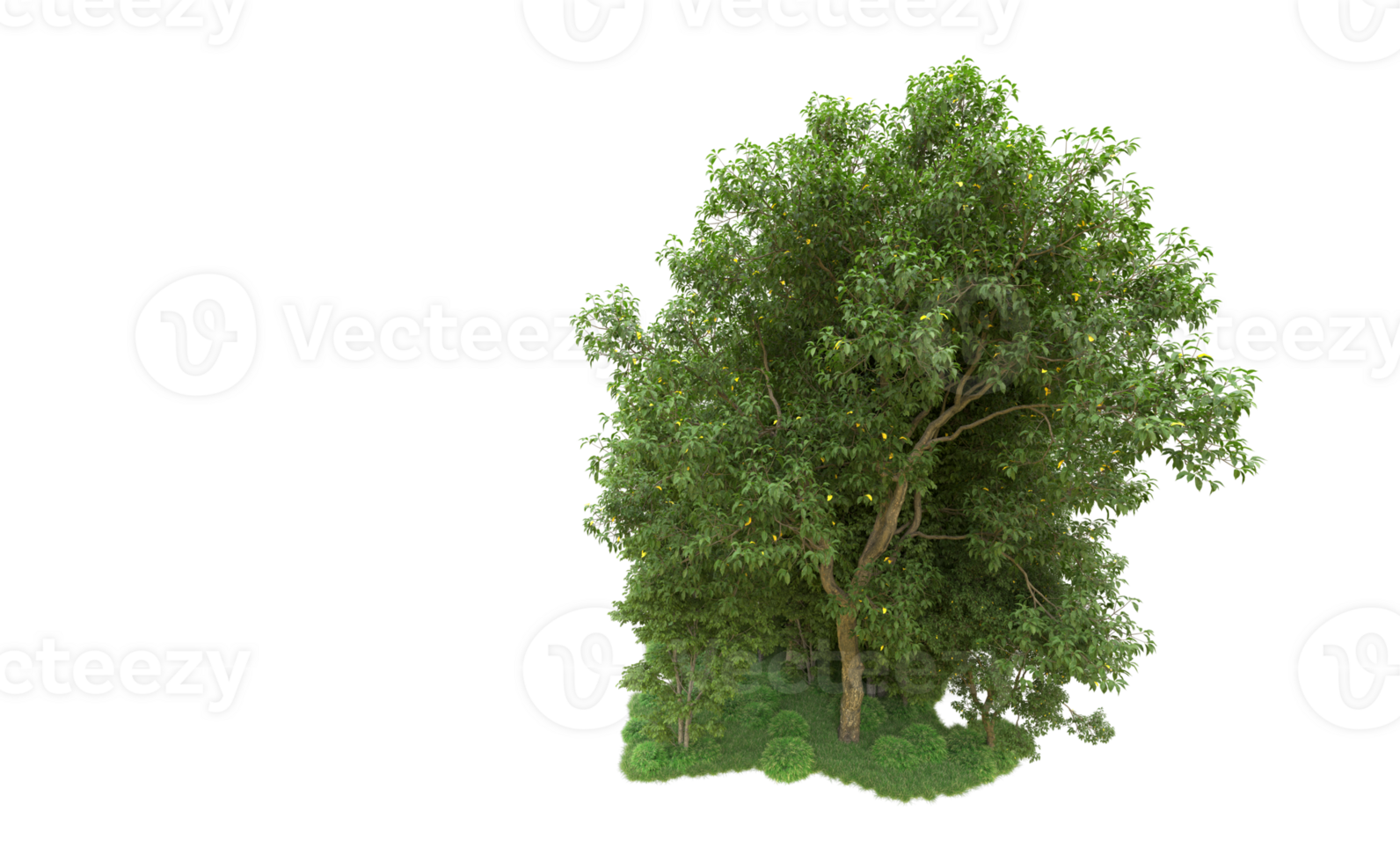 Green forest isolated on background. 3d rendering - illustration png