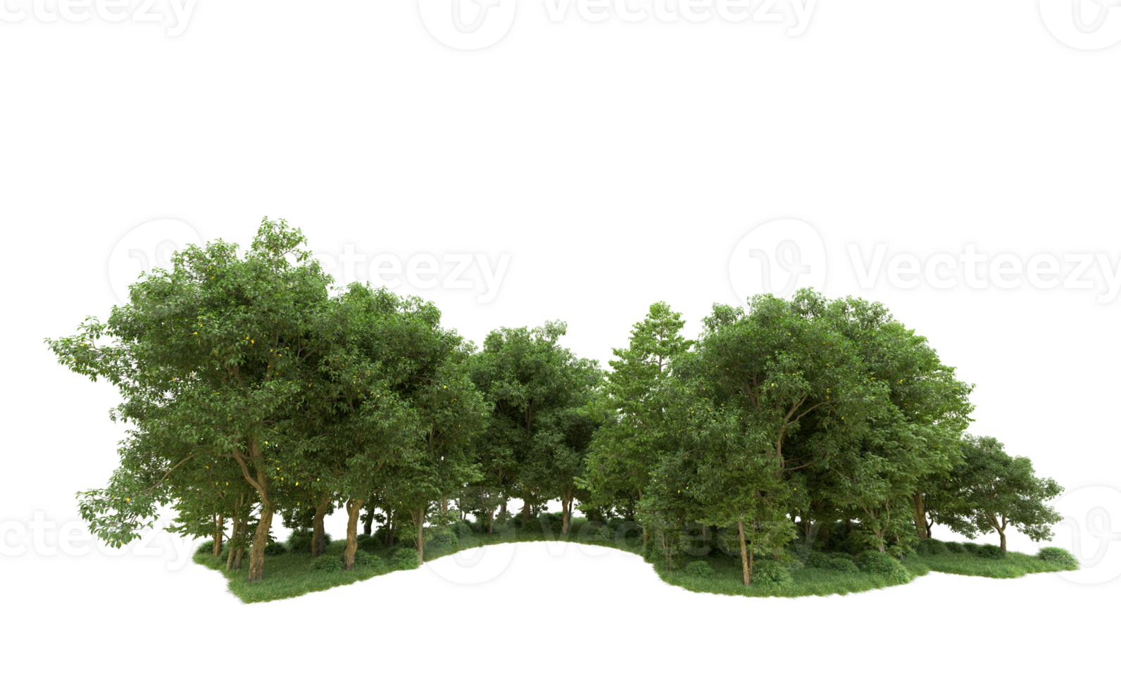 Green forest isolated on background. 3d rendering - illustration png