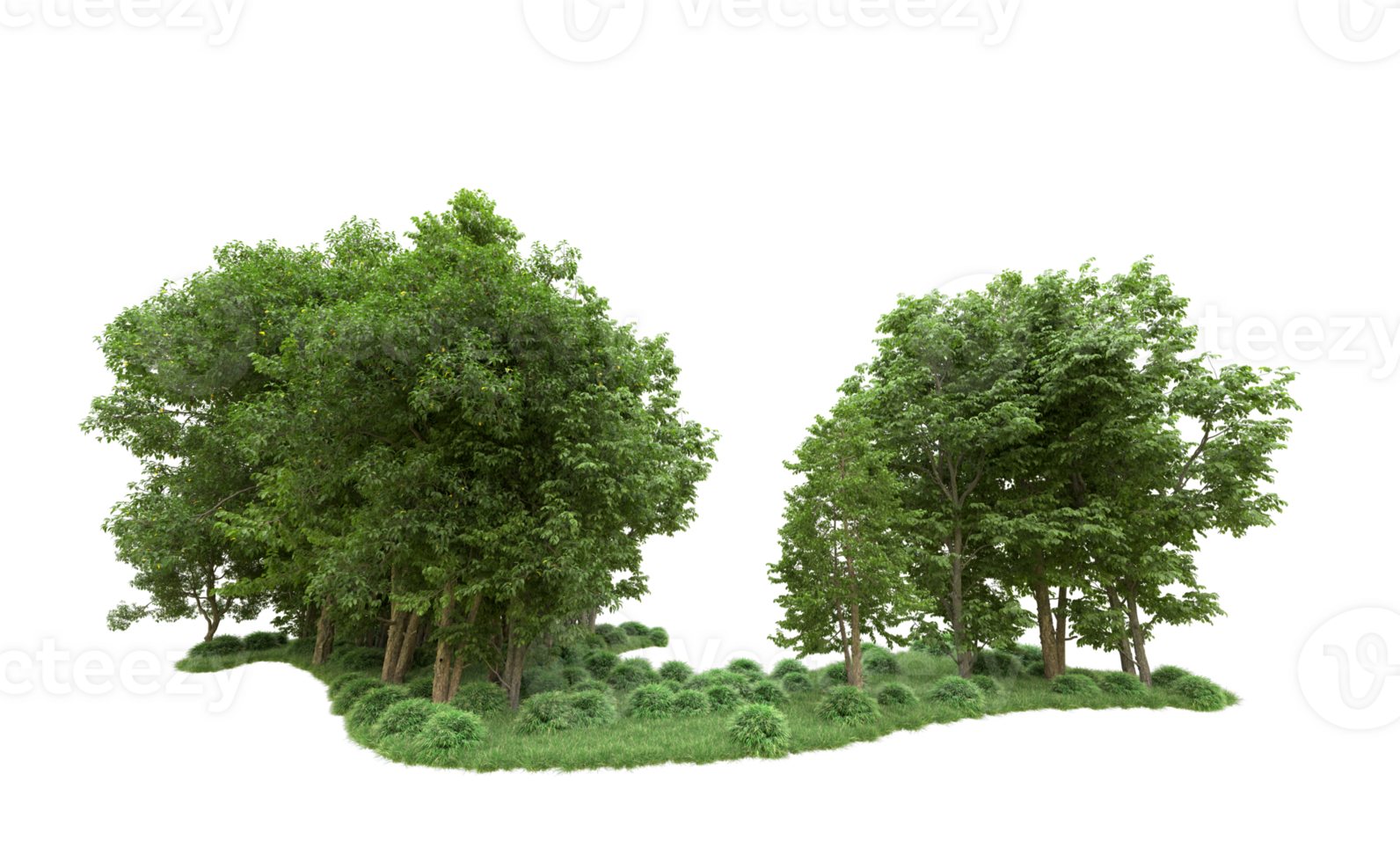 Green forest isolated on background. 3d rendering - illustration png