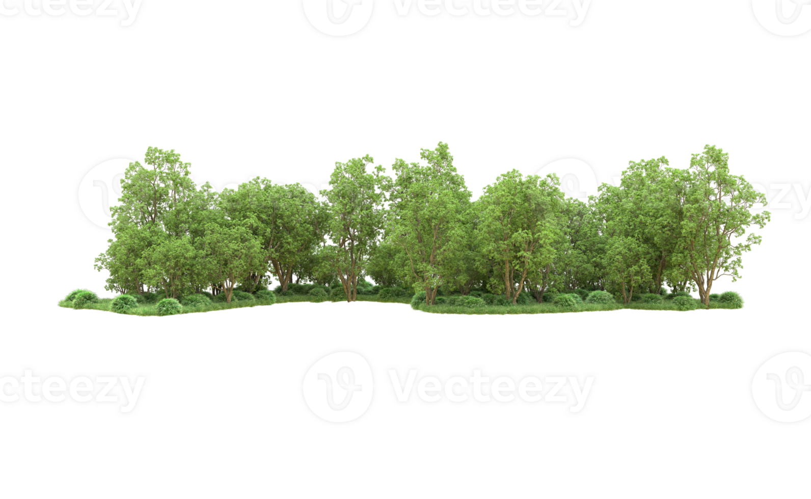 Green forest isolated on background. 3d rendering - illustration png