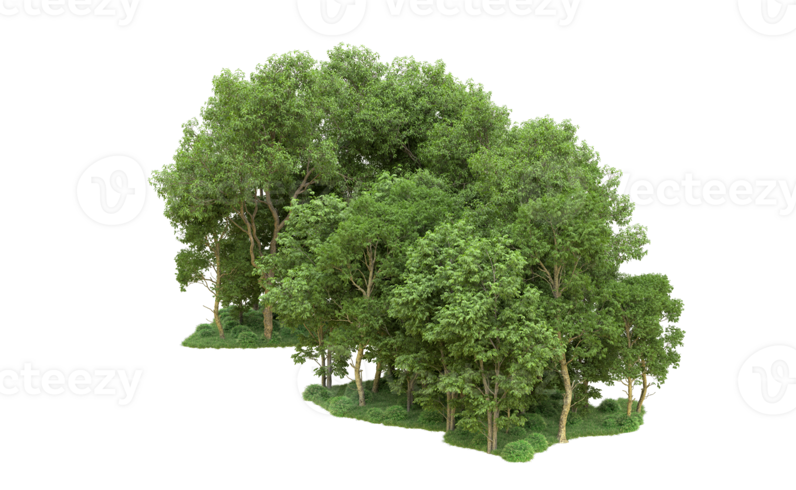 Green forest isolated on background. 3d rendering - illustration png