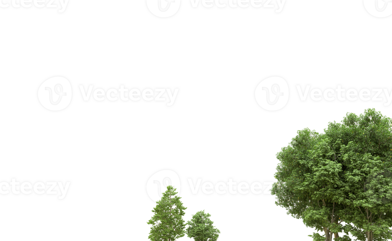 Green forest isolated on background. 3d rendering - illustration png