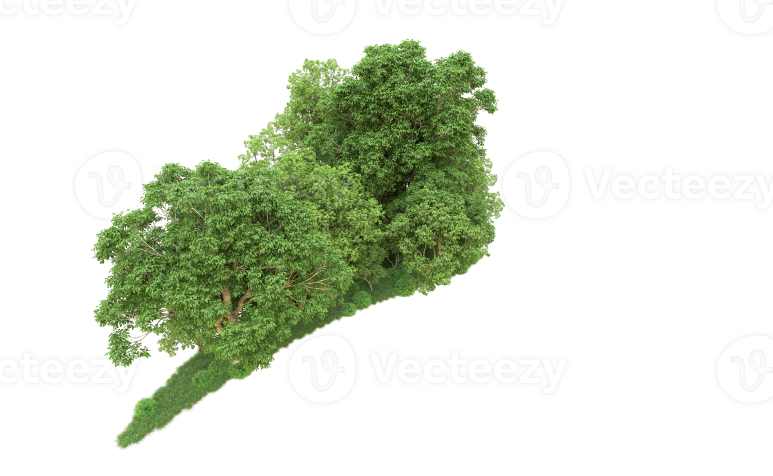 Green forest isolated on background. 3d rendering - illustration png
