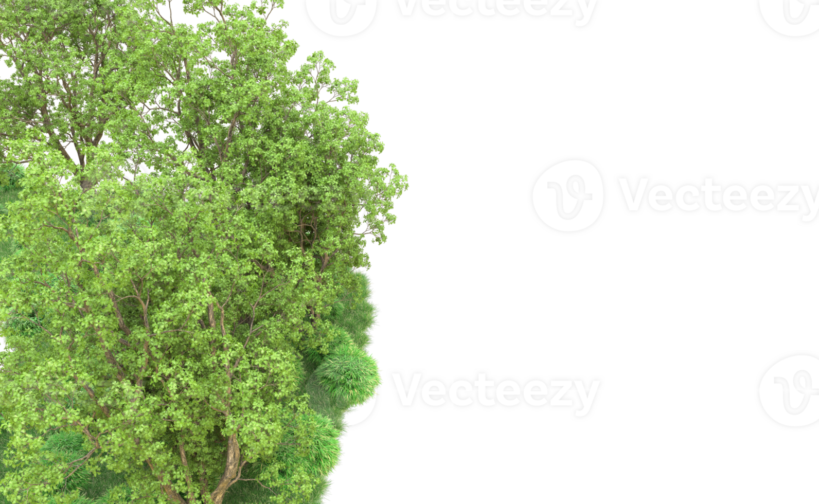 Green forest isolated on background. 3d rendering - illustration png