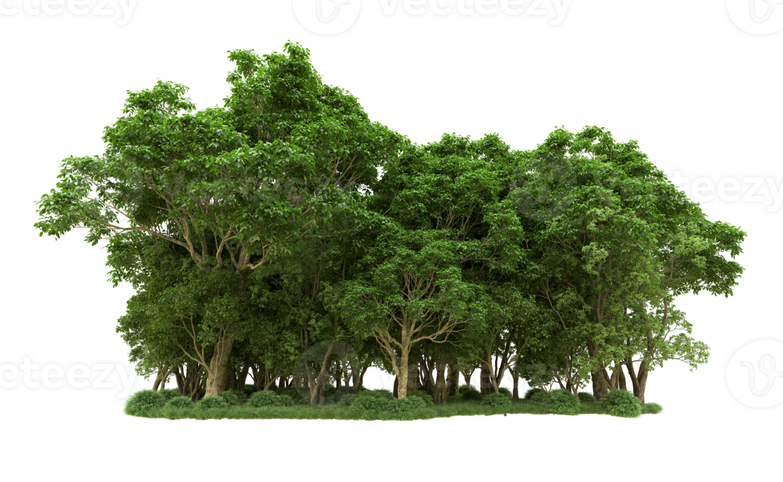 Green forest isolated on background. 3d rendering - illustration png