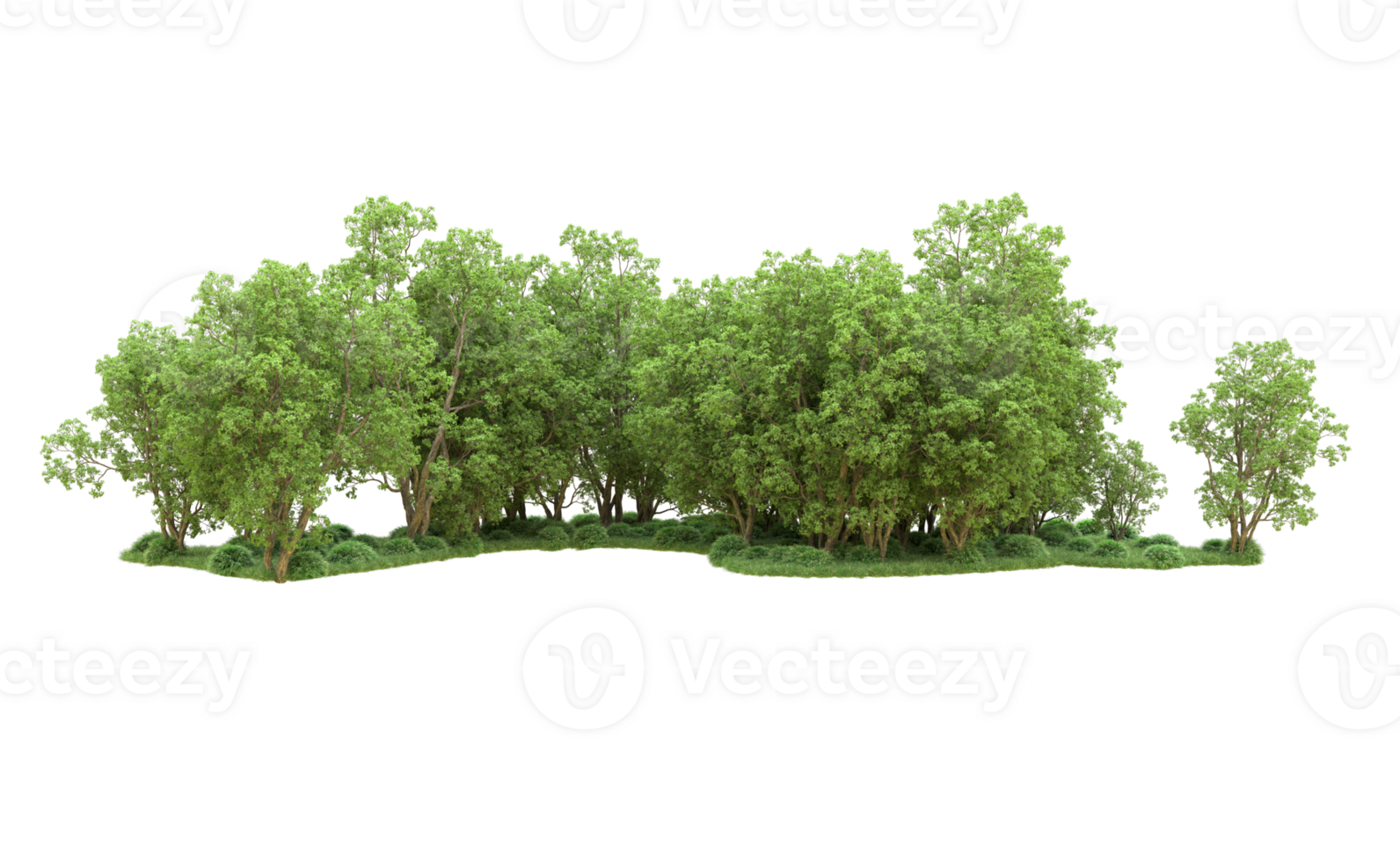 Green forest isolated on background. 3d rendering - illustration png