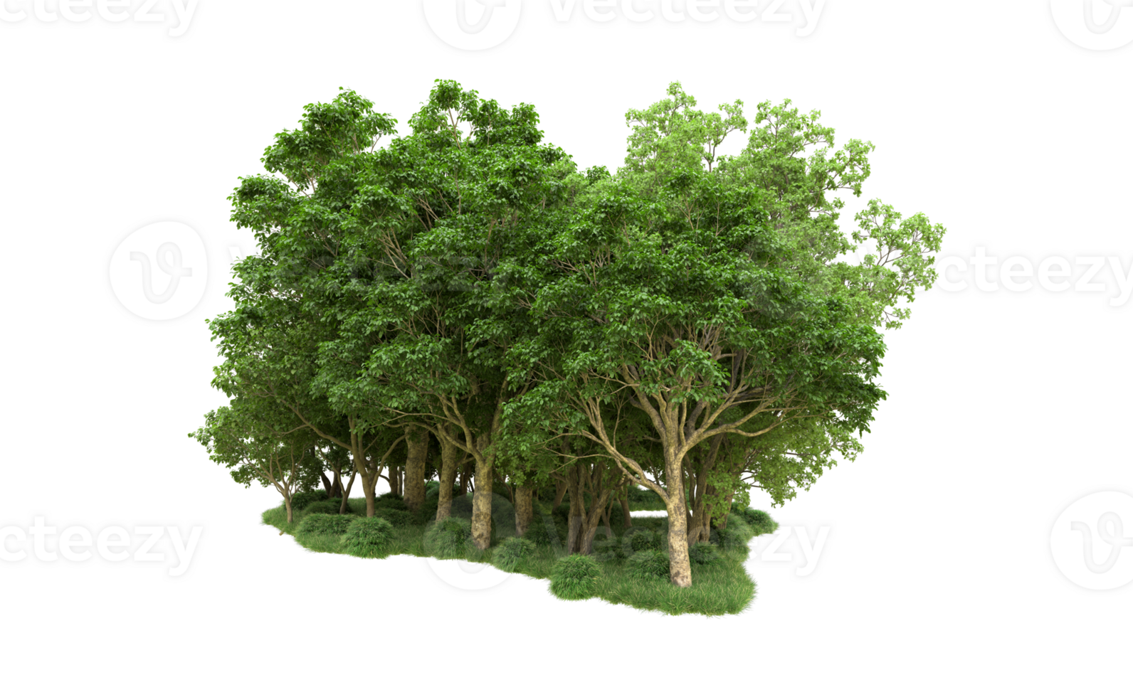 Green forest isolated on background. 3d rendering - illustration png