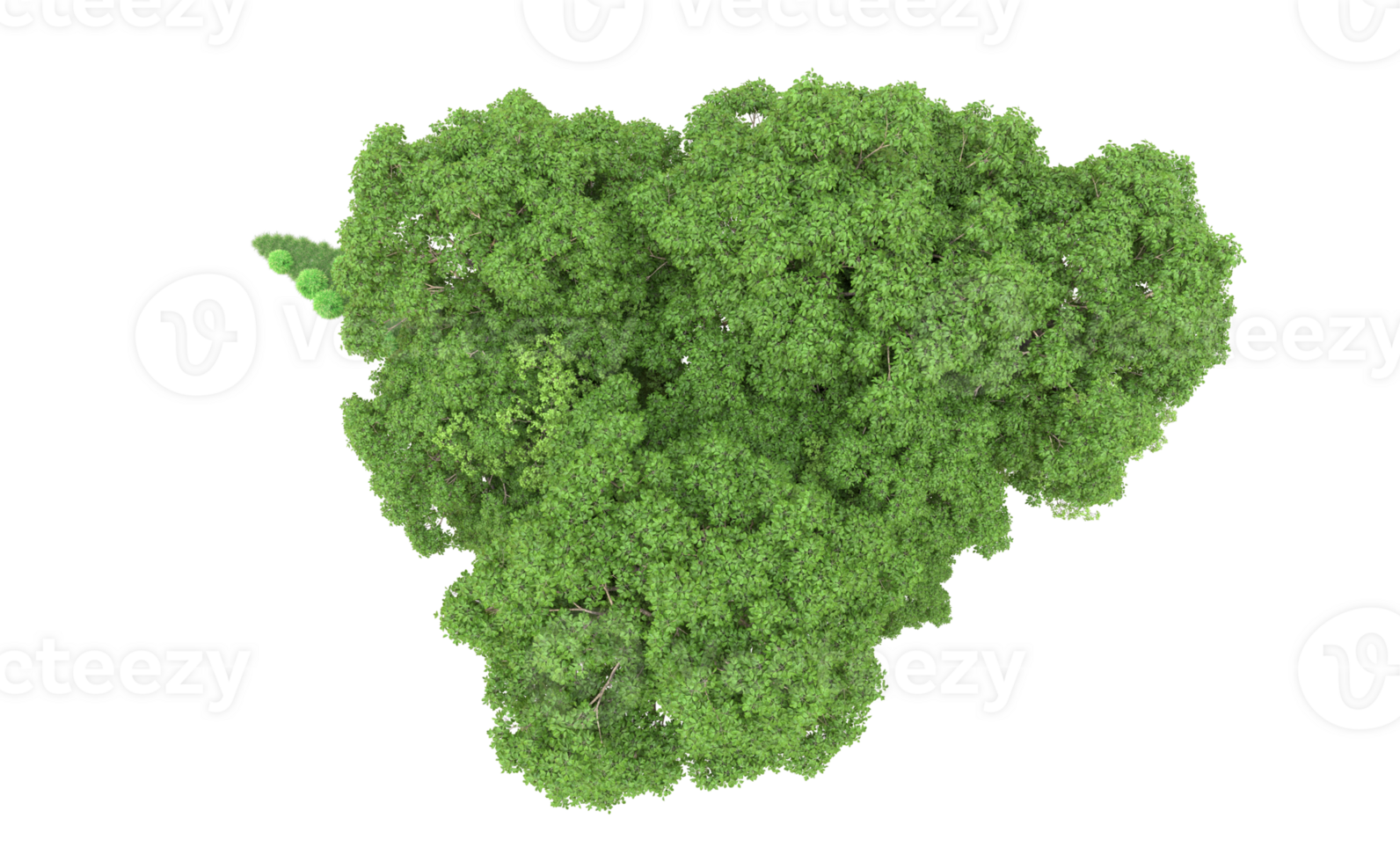 Green forest isolated on background. 3d rendering - illustration png