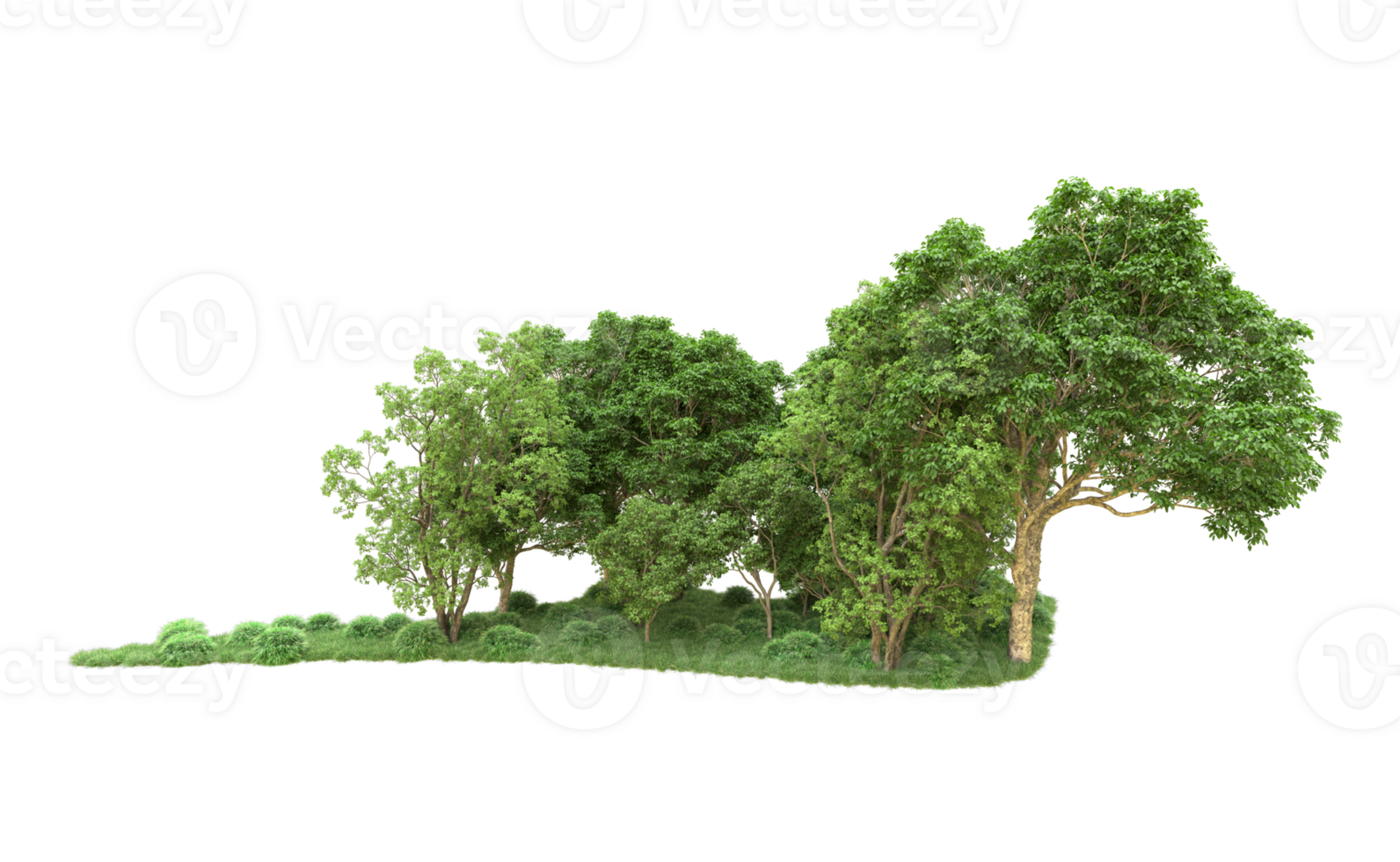 Green forest isolated on background. 3d rendering - illustration png