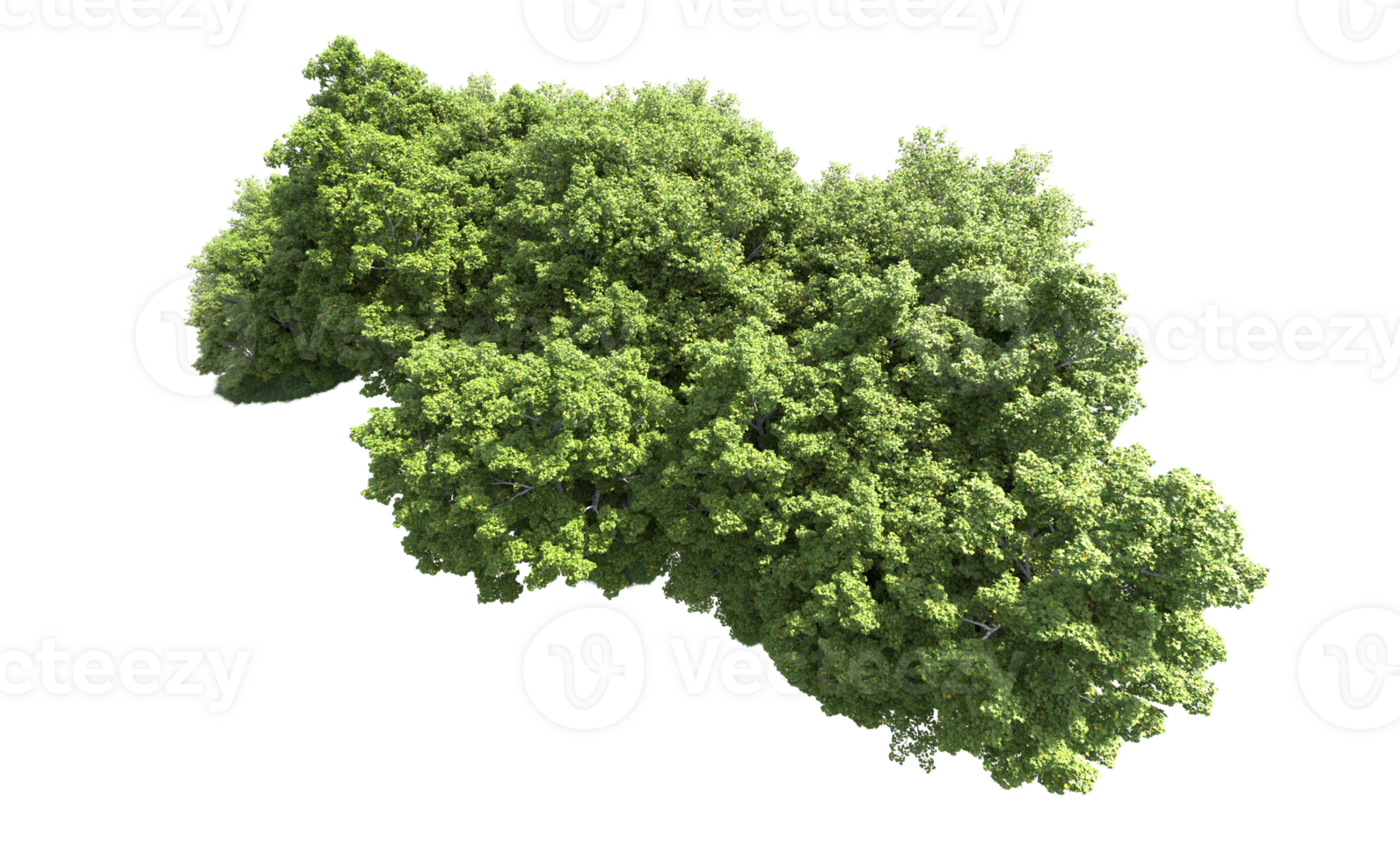 Green forest isolated on background. 3d rendering - illustration png