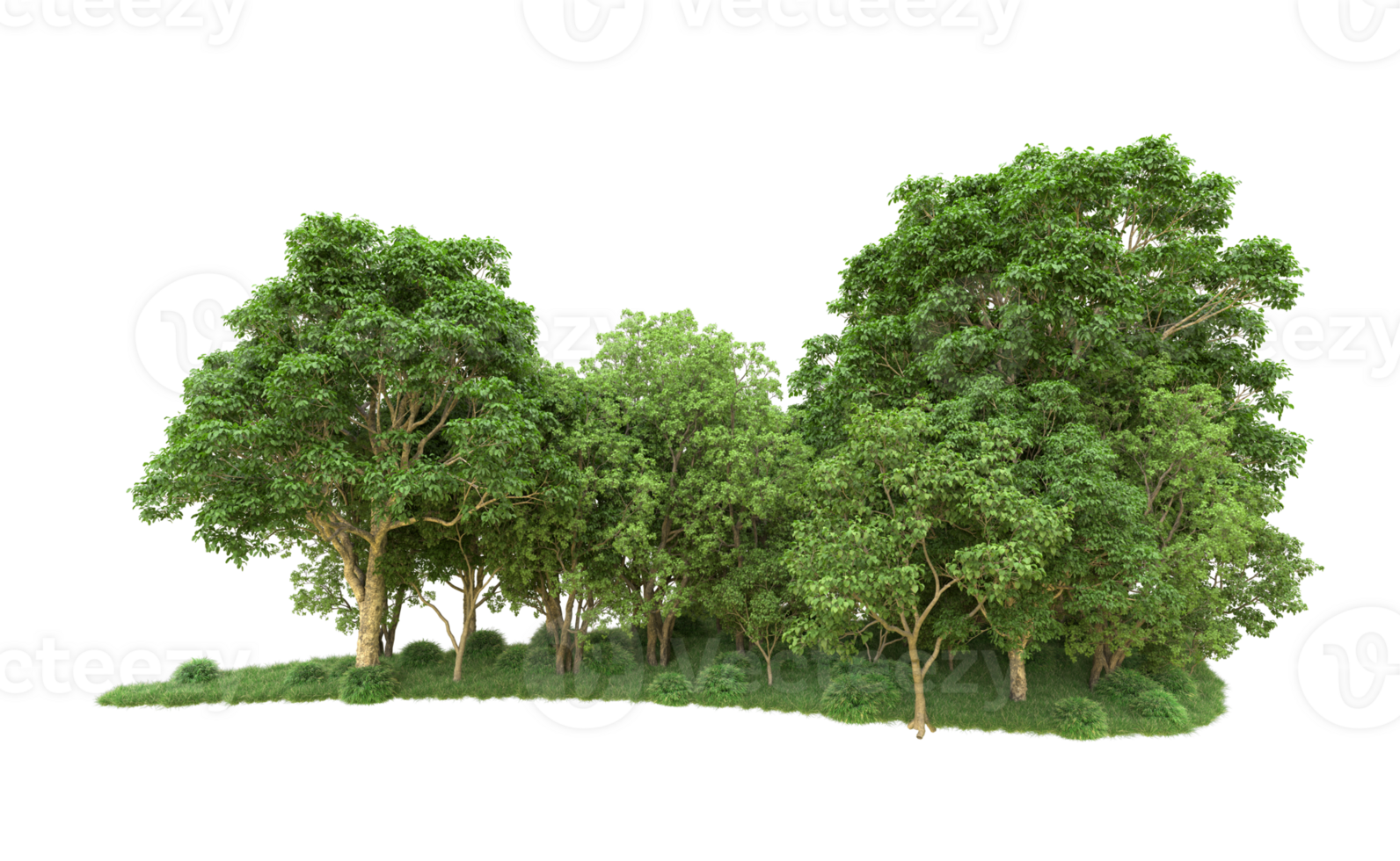 Green forest isolated on background. 3d rendering - illustration png