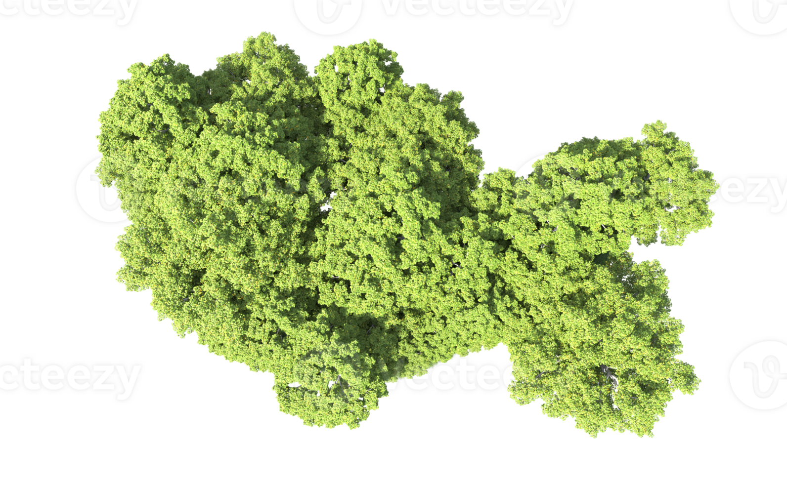 Green forest isolated on background. 3d rendering - illustration png