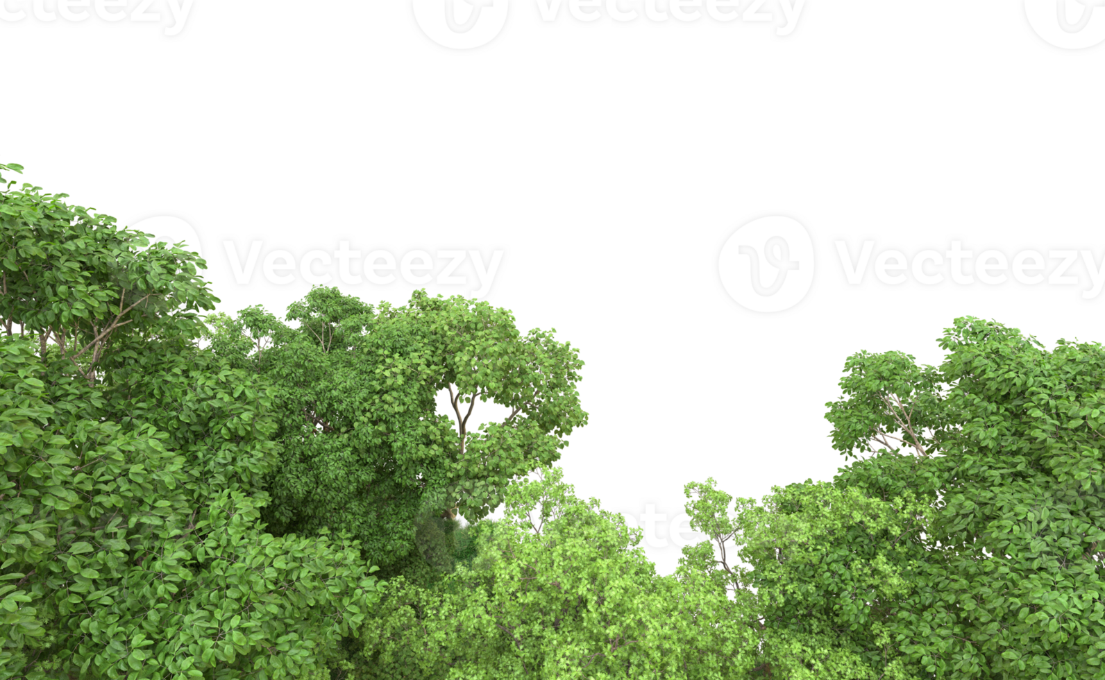 Green forest isolated on background. 3d rendering - illustration png