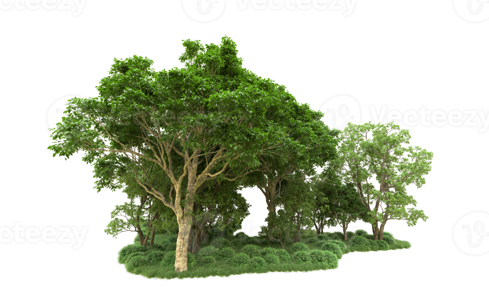 Green forest isolated on background. 3d rendering - illustration png