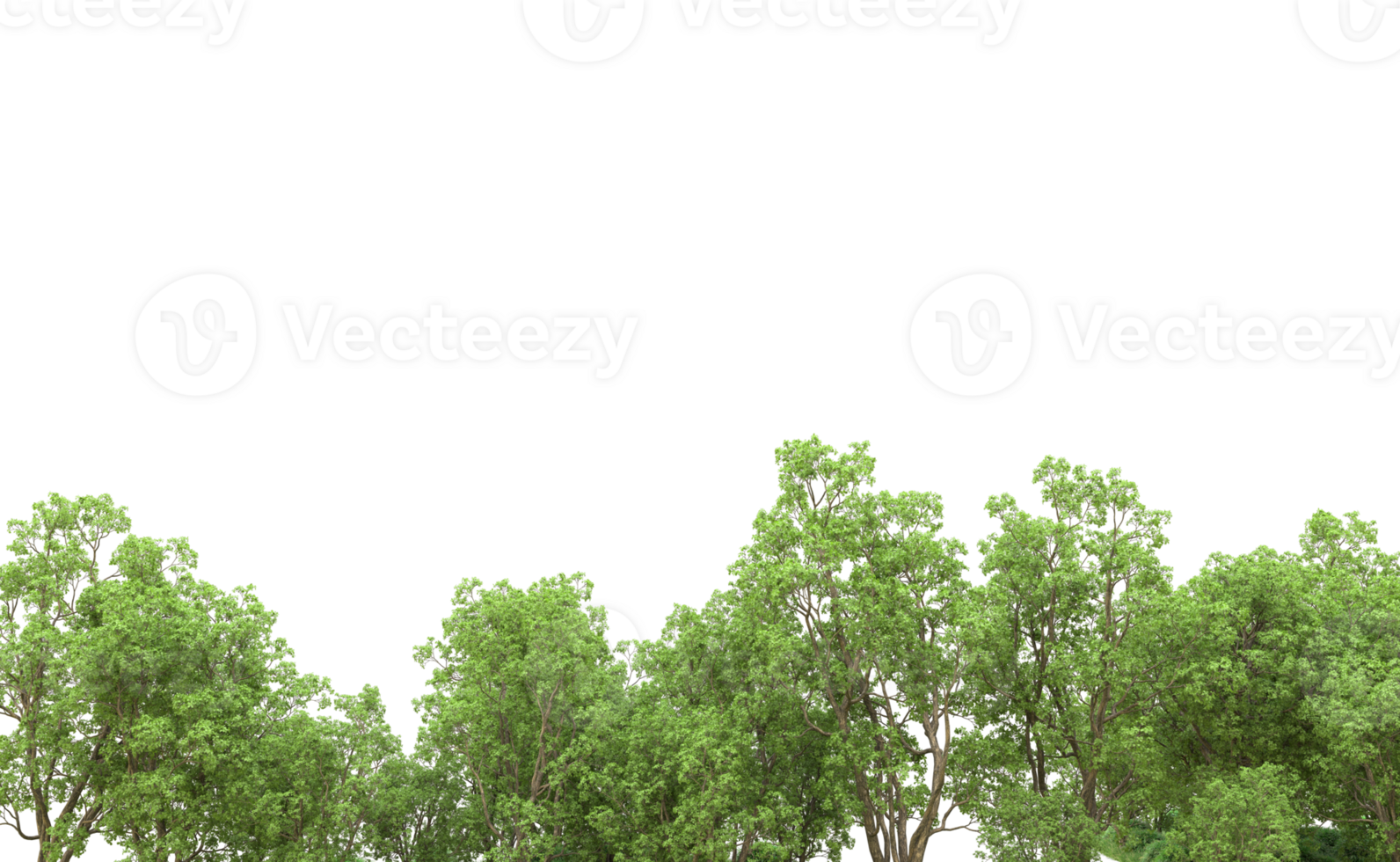 Green forest isolated on background. 3d rendering - illustration png