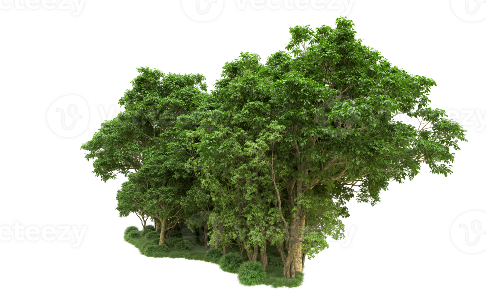 Green forest isolated on background. 3d rendering - illustration png
