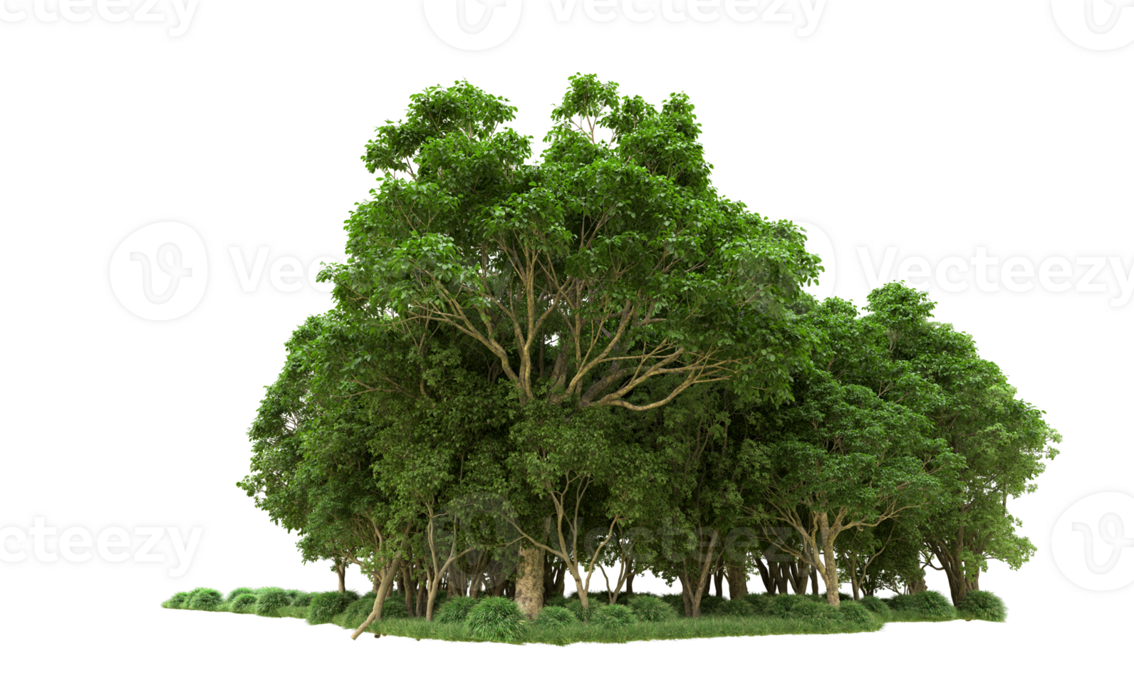 Green forest isolated on background. 3d rendering - illustration png