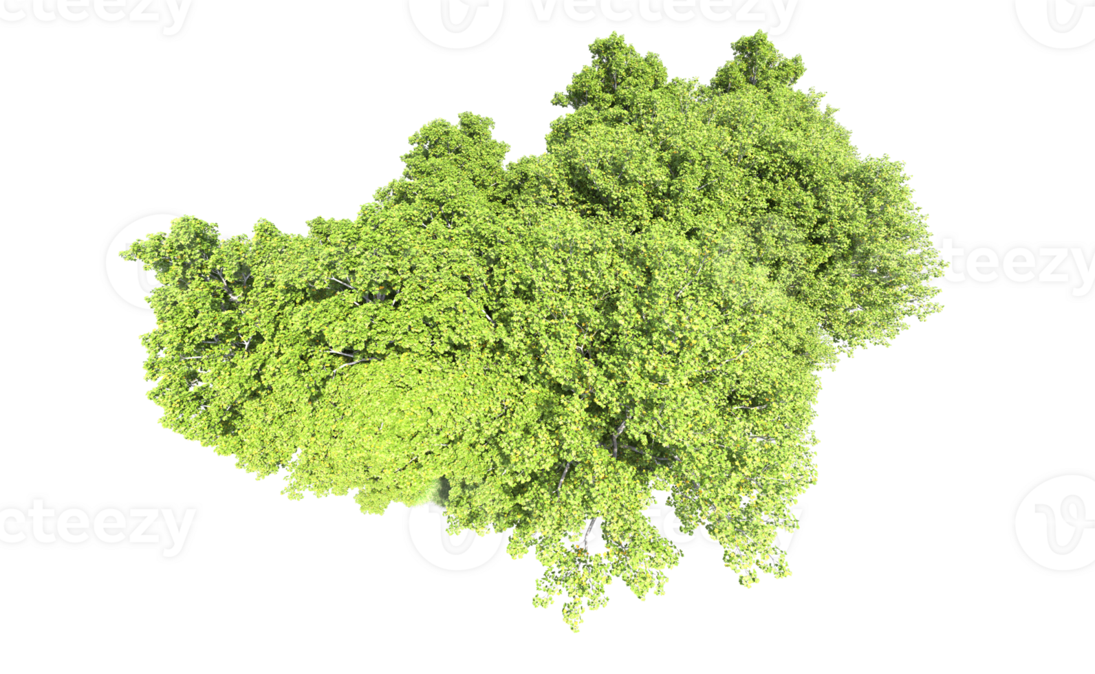 Green forest isolated on background. 3d rendering - illustration png