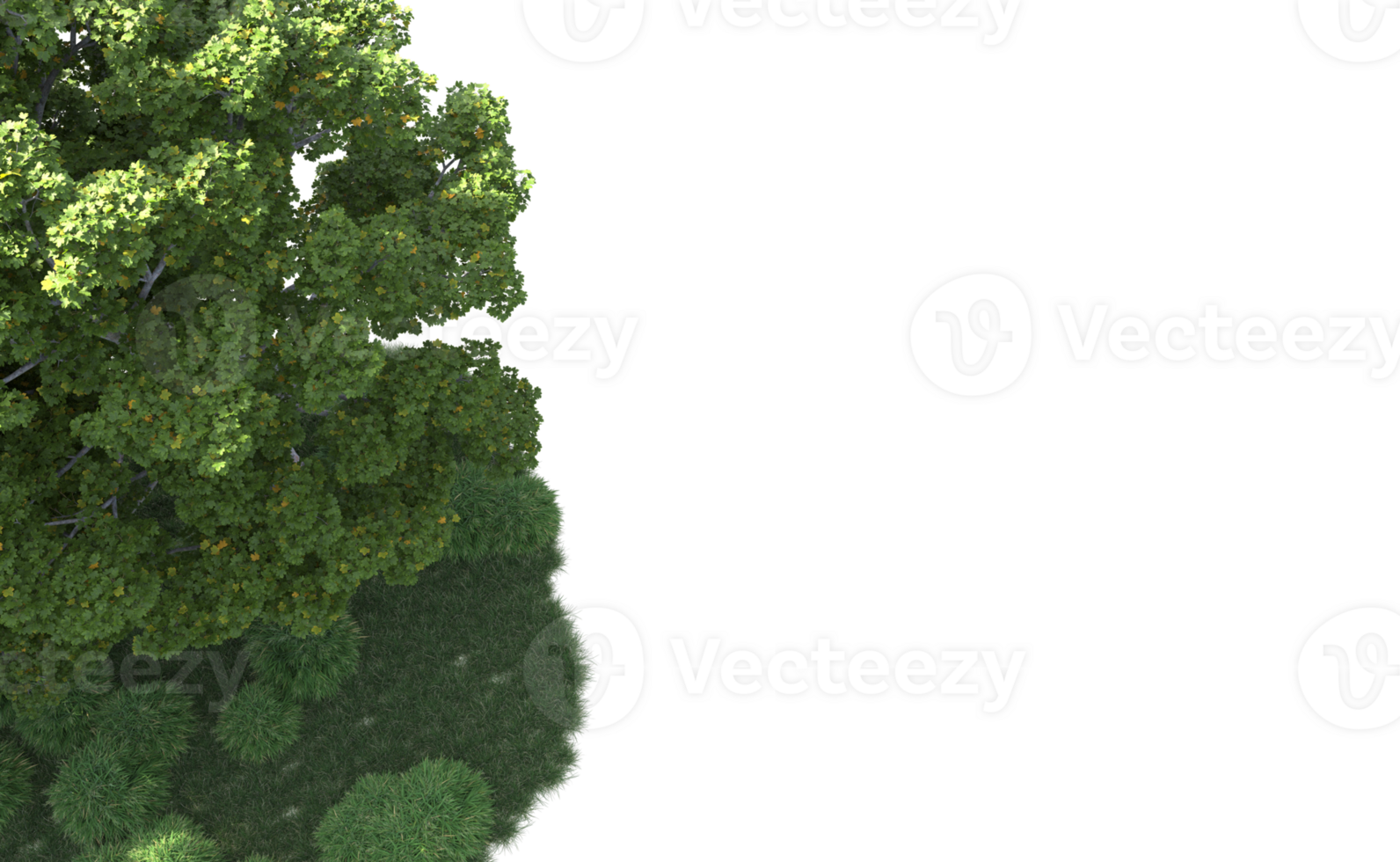 Green forest isolated on background. 3d rendering - illustration png