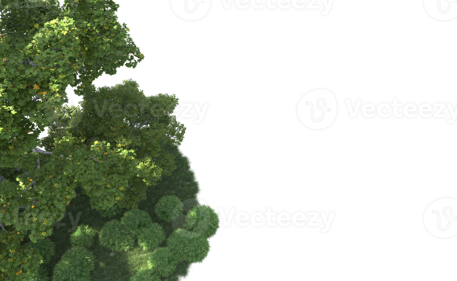 Green forest isolated on background. 3d rendering - illustration png