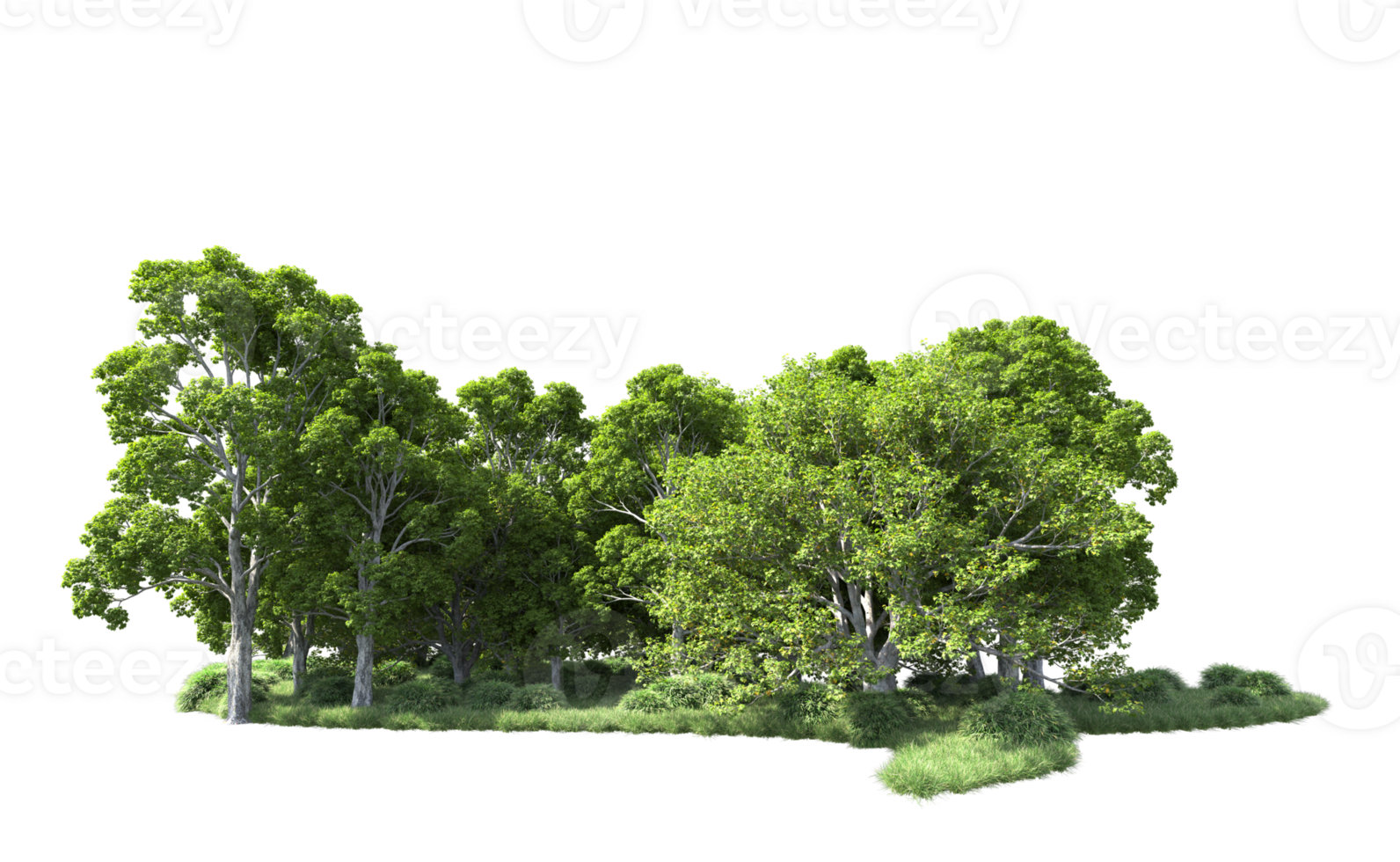 Green forest isolated on background. 3d rendering - illustration png