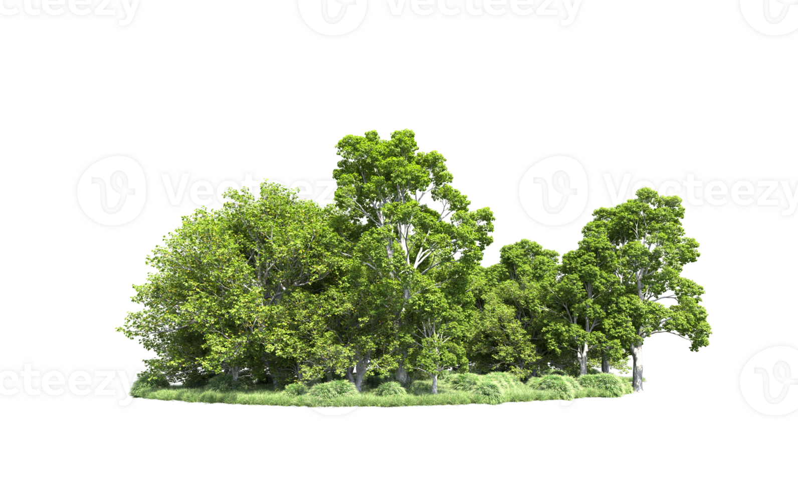 Green forest isolated on background. 3d rendering - illustration png