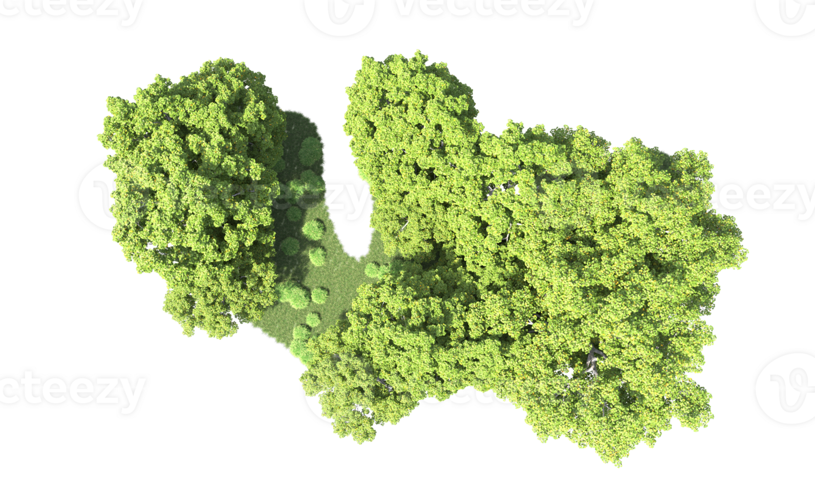 Green forest isolated on background. 3d rendering - illustration png