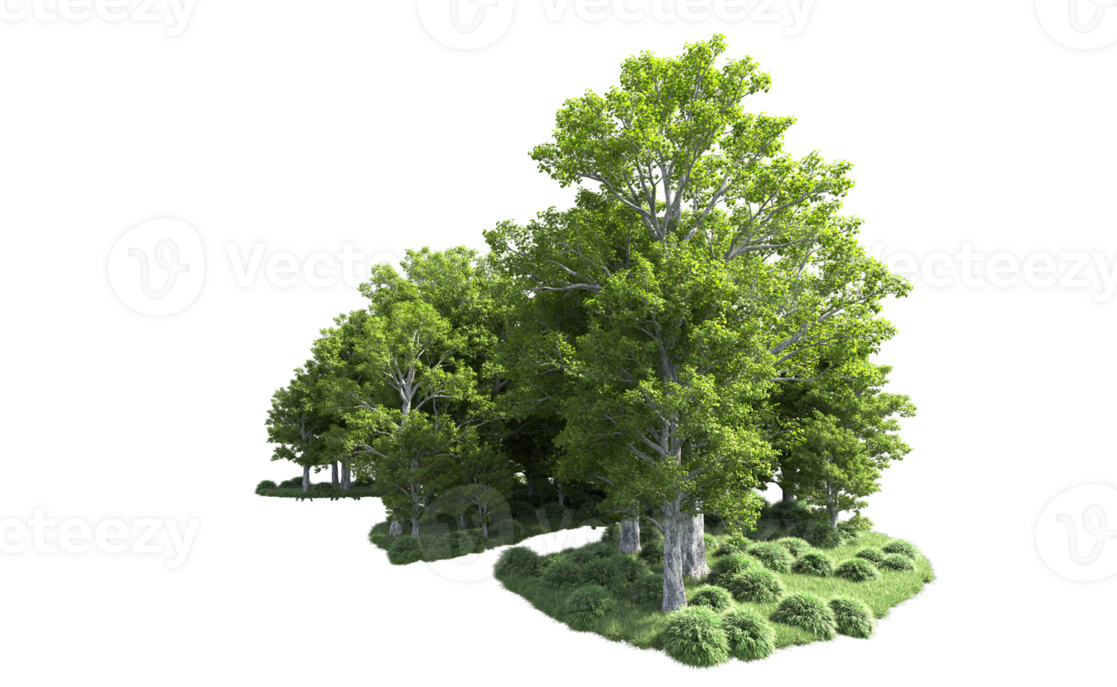 Green forest isolated on background. 3d rendering - illustration png