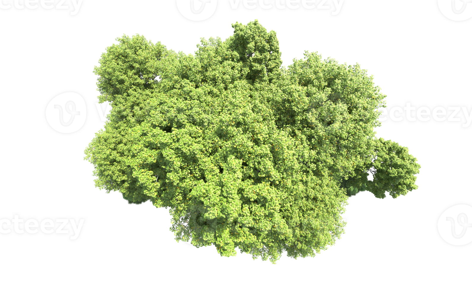 Green forest isolated on background. 3d rendering - illustration png
