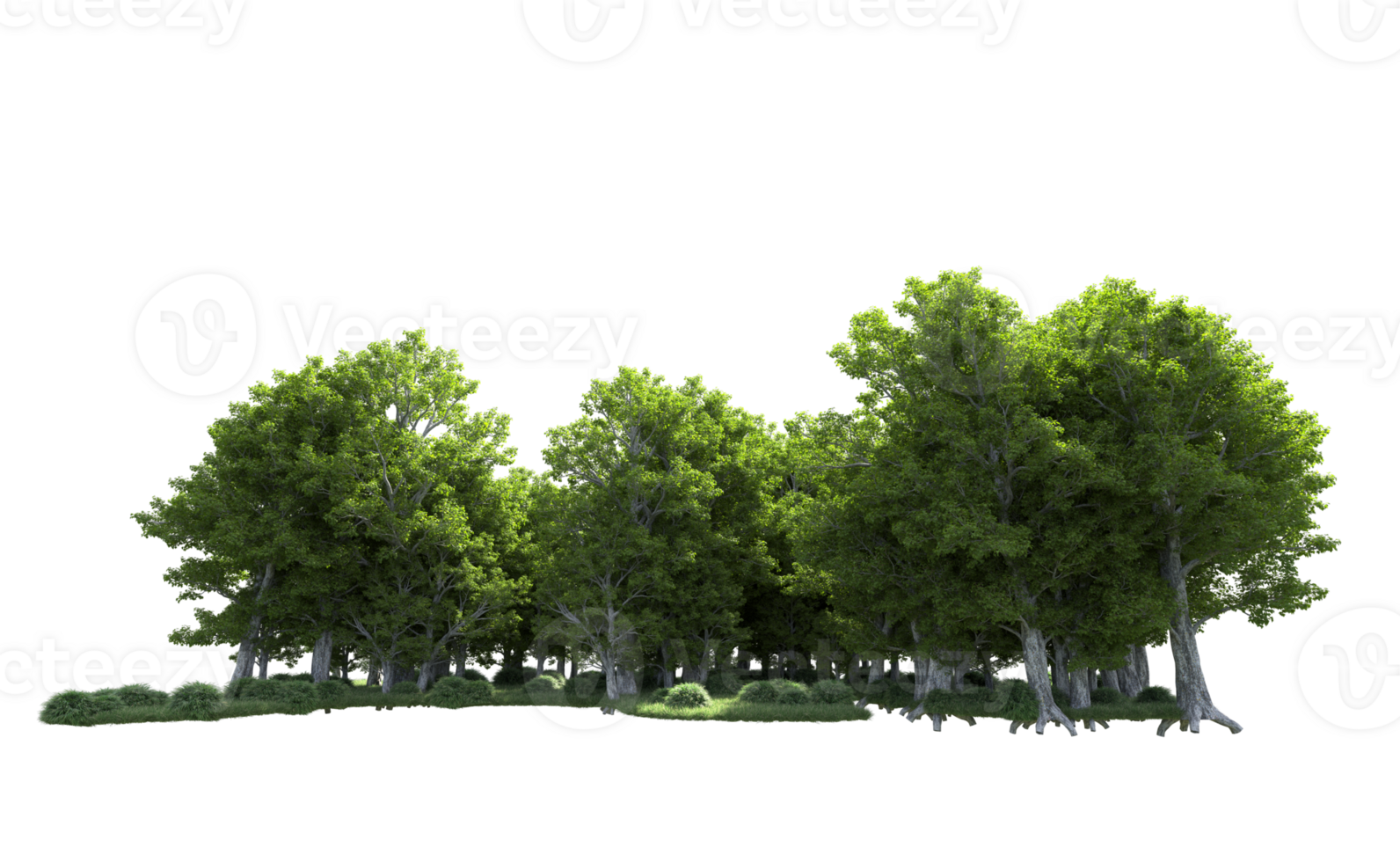 Green forest isolated on background. 3d rendering - illustration png