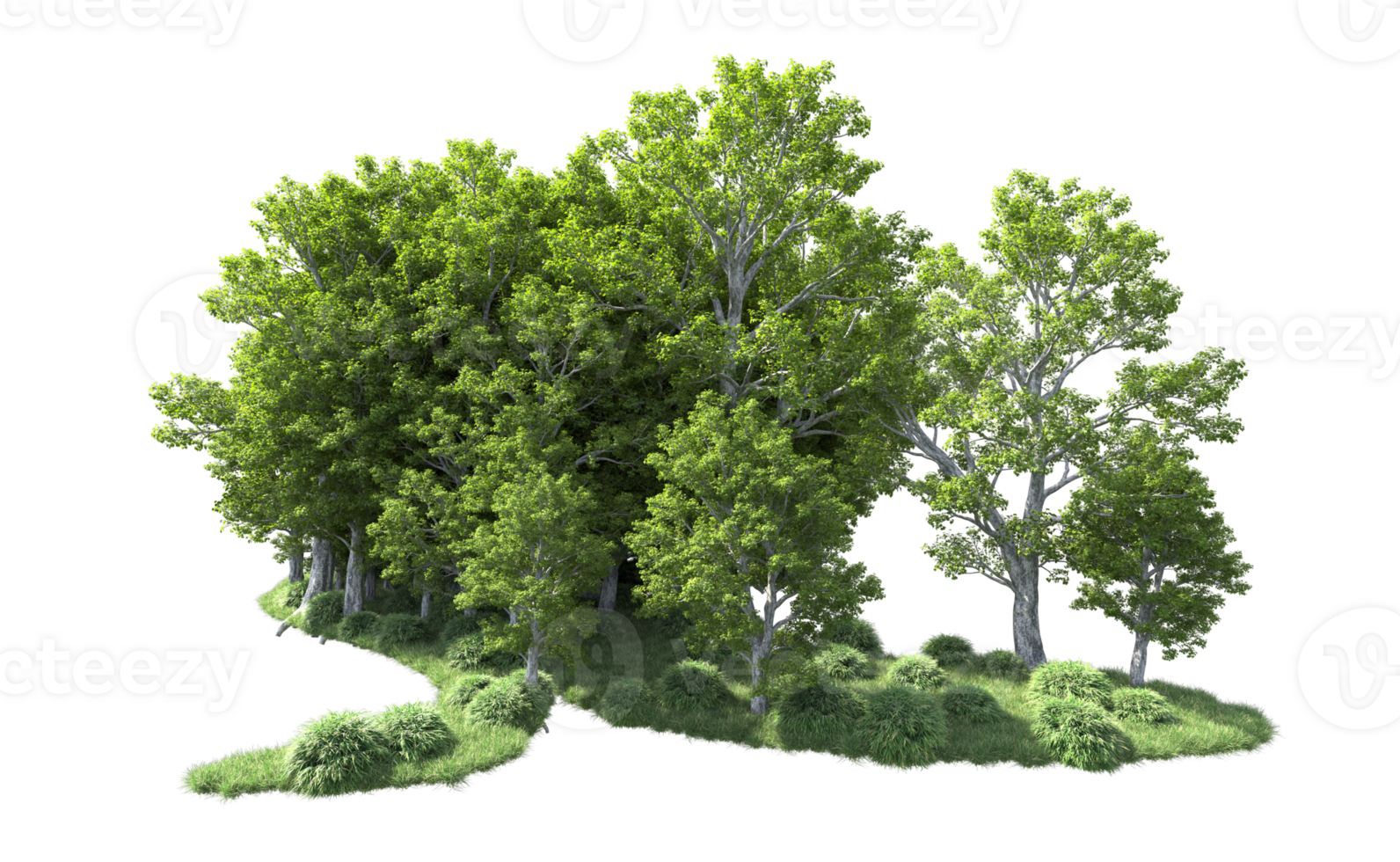 Green forest isolated on background. 3d rendering - illustration png