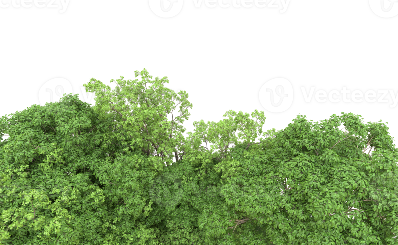 Green forest isolated on background. 3d rendering - illustration png