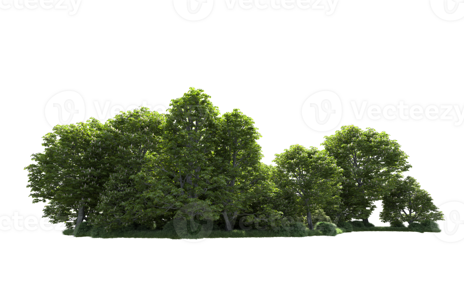 Green forest isolated on background. 3d rendering - illustration png