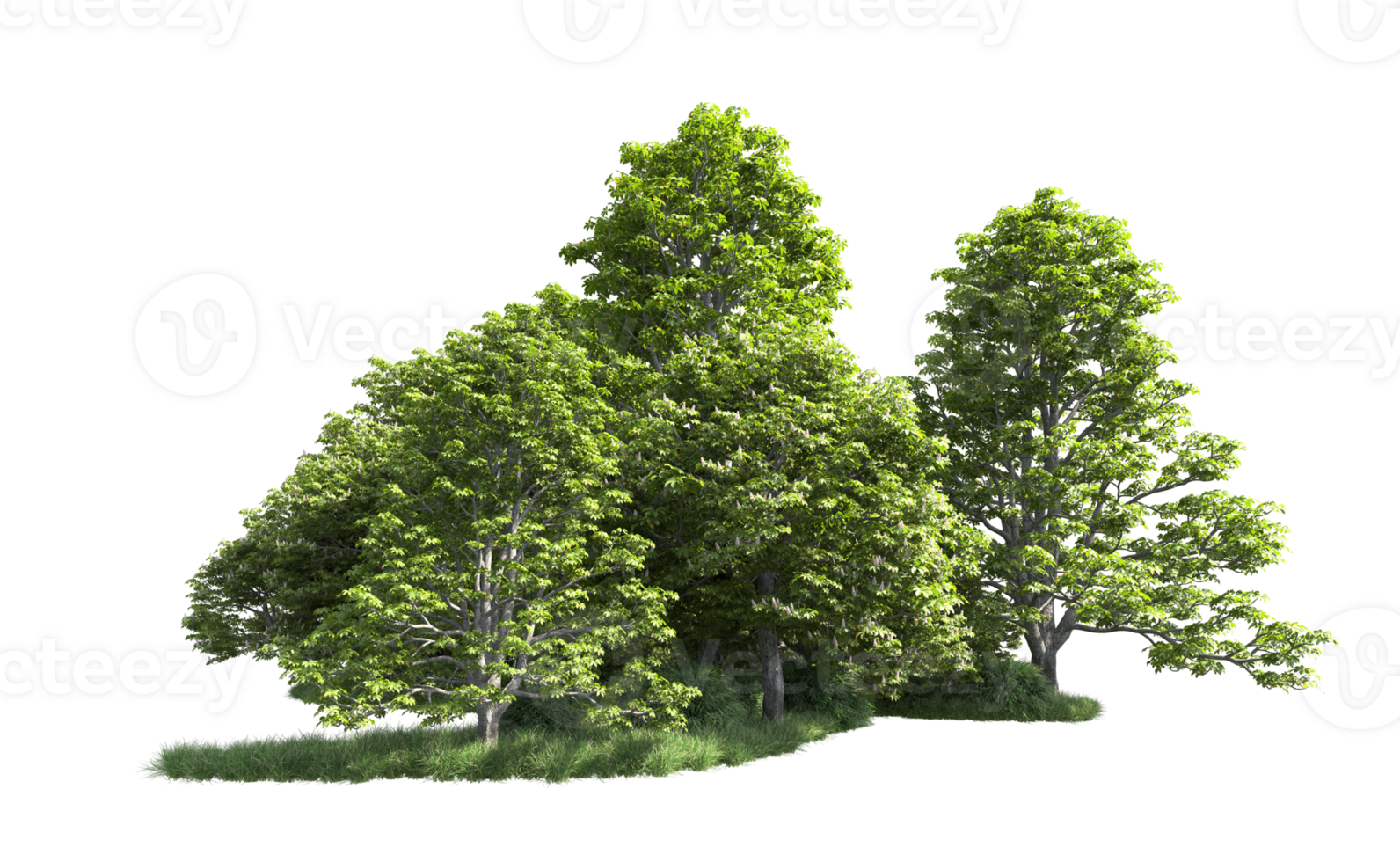 Green forest isolated on background. 3d rendering - illustration png