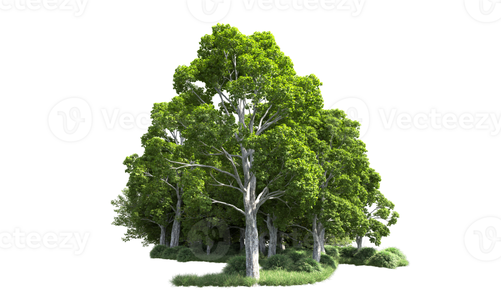 Green forest isolated on background. 3d rendering - illustration png