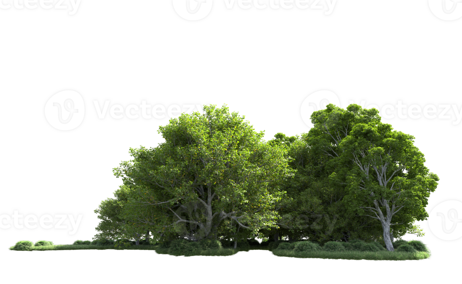 Green forest isolated on background. 3d rendering - illustration png