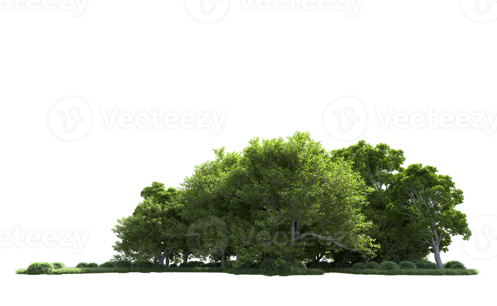 Green forest isolated on background. 3d rendering - illustration png