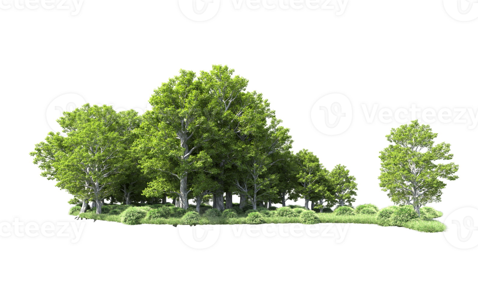 Green forest isolated on background. 3d rendering - illustration png