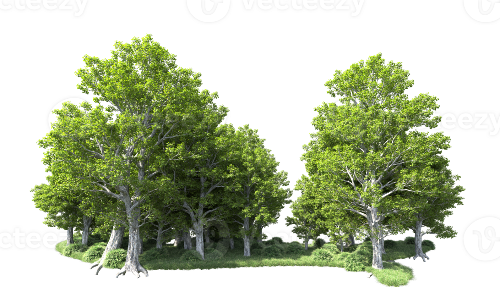 Green forest isolated on background. 3d rendering - illustration png