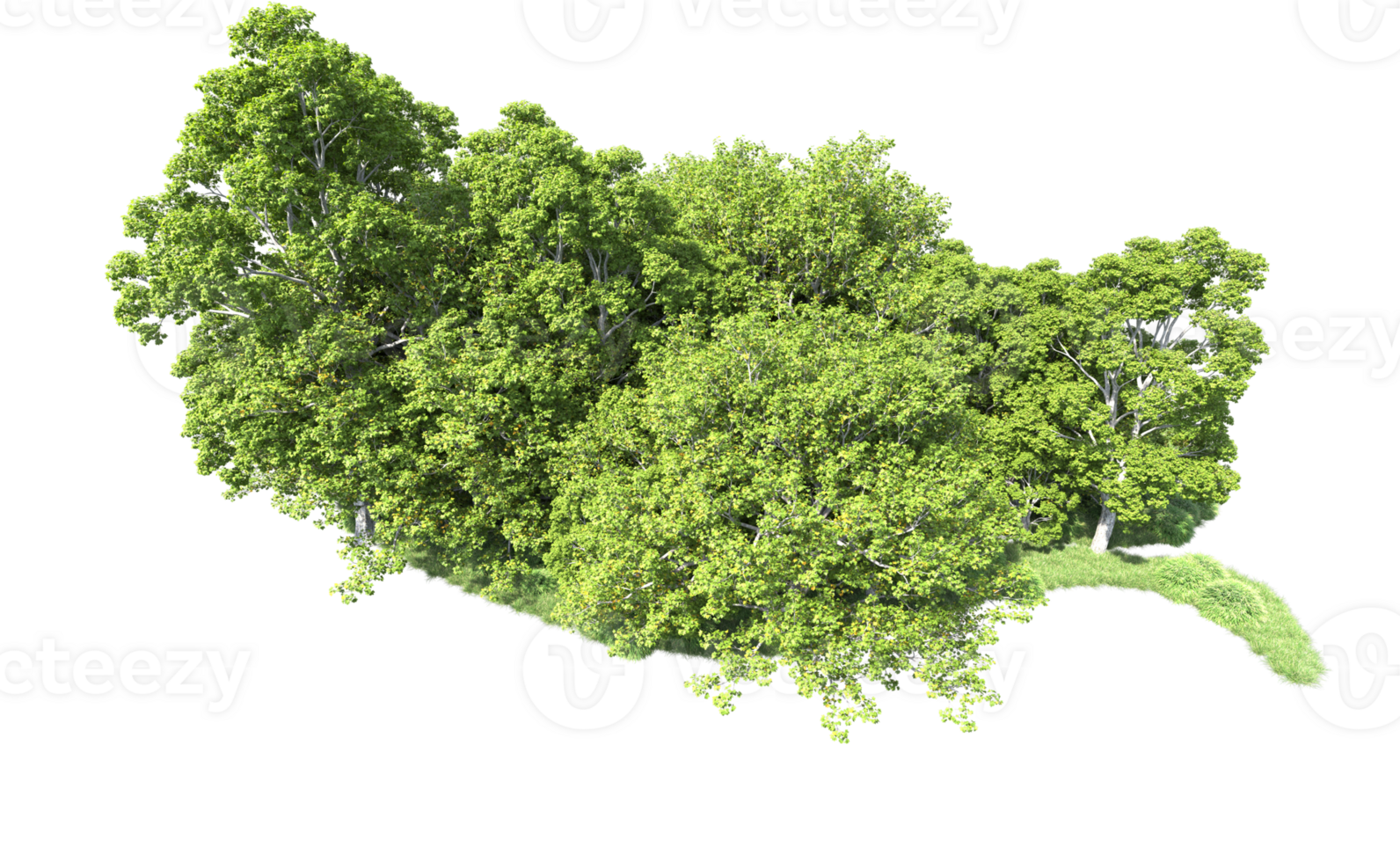 Green forest isolated on background. 3d rendering - illustration png