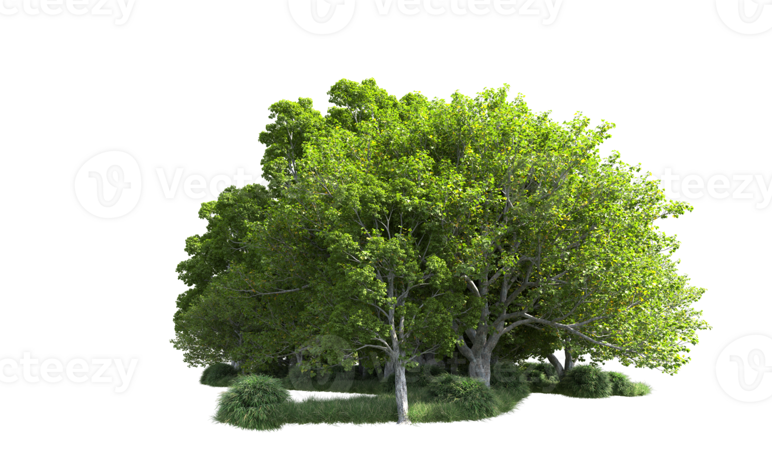 verde foresta isolato su sfondo. 3d interpretazione - illustrazione png